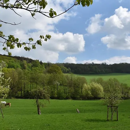 Apartament Guese Detmold