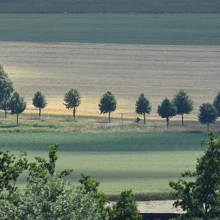 Guese Detmold