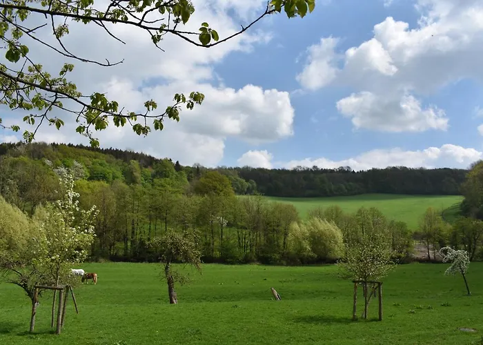 Lejlighed Guese Detmold